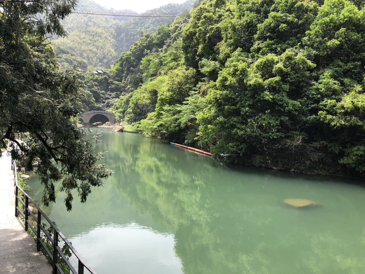 诸暨香榧森林公园好玩吗,诸暨香榧森林公园景点怎么样