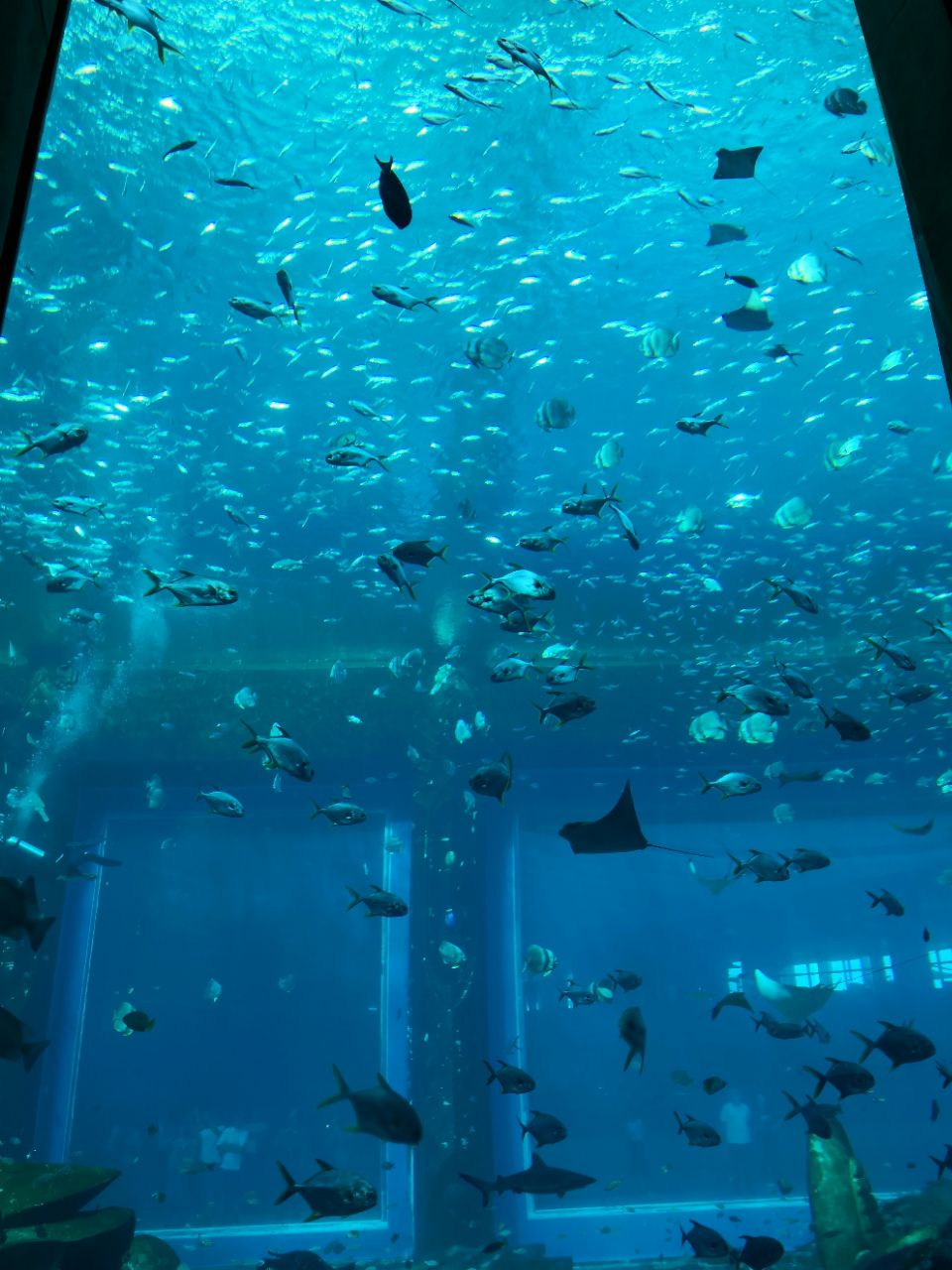 亚特兰蒂斯失落的空间水族馆