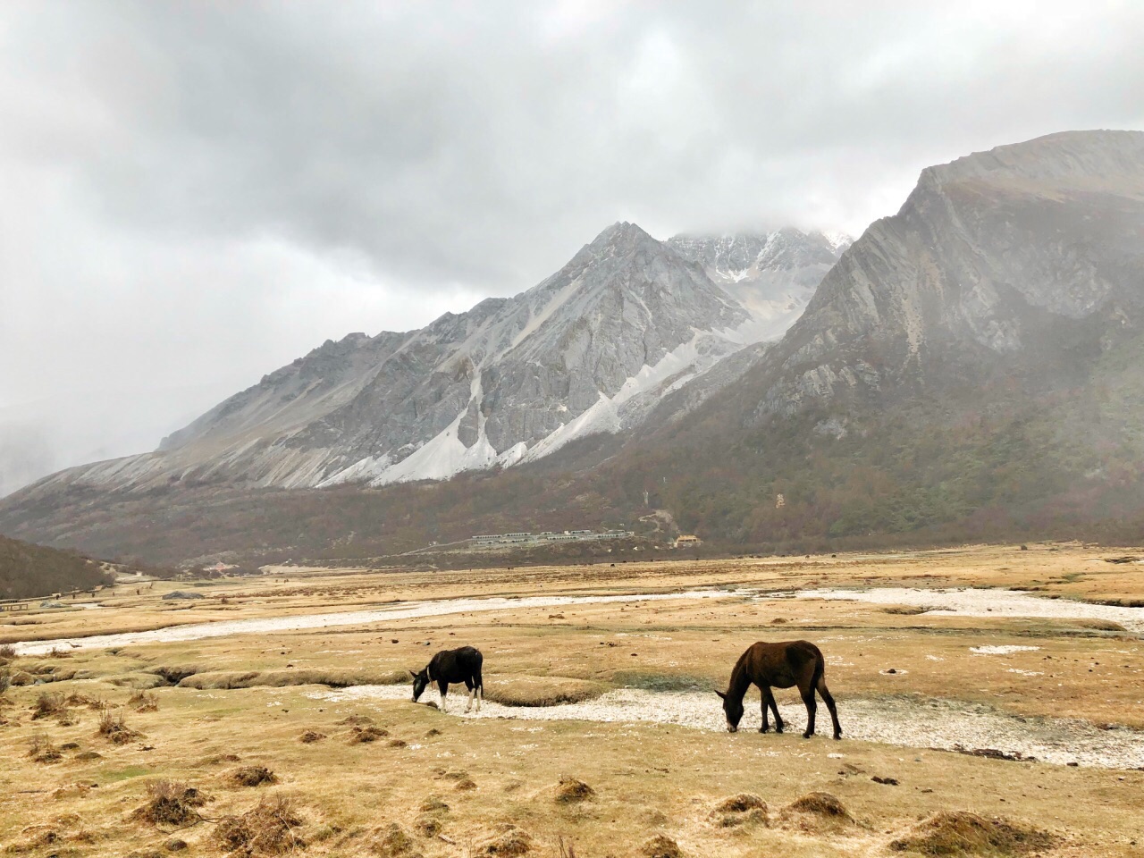 洛绒牛场旅游景点攻略图