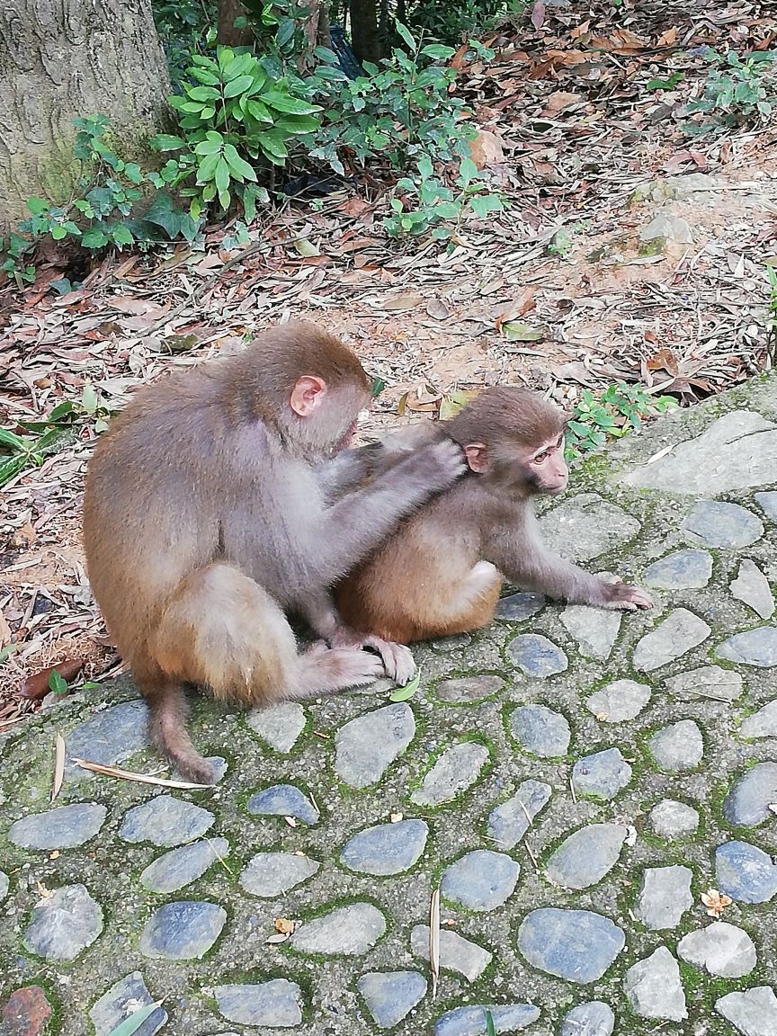 牛姆林自然保护区