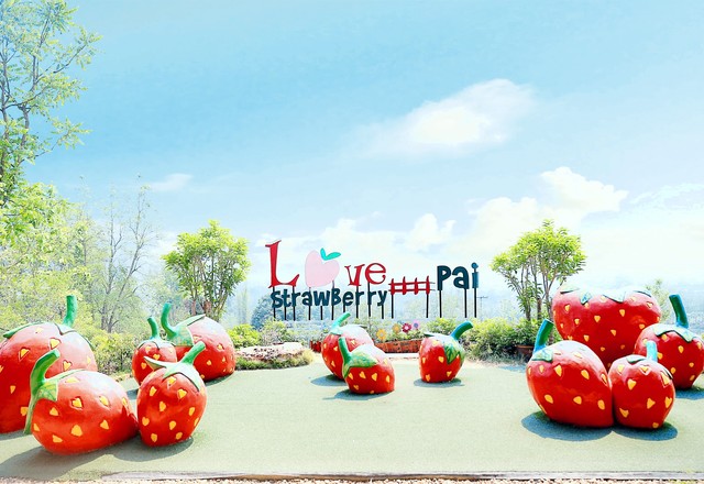 草莓园love strawberry pai