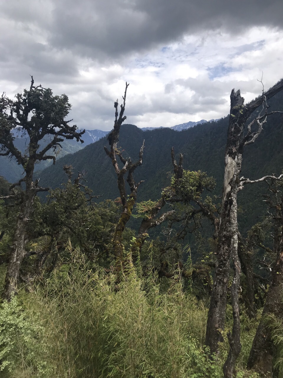 贡山县城旅游景点攻略图