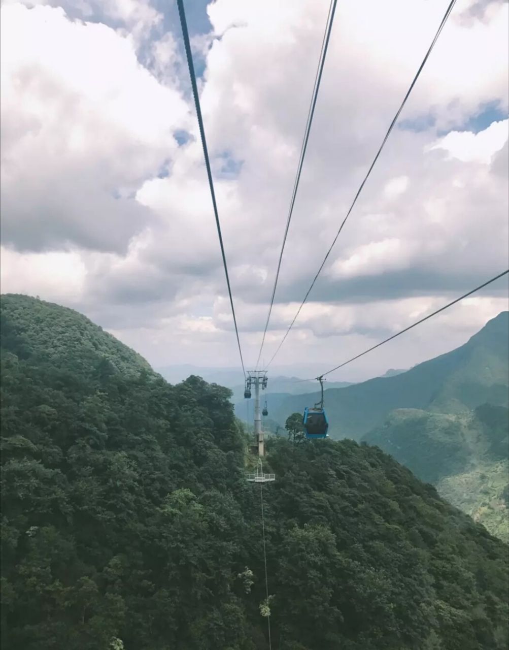 开着空调都想泡在水里的天气,这个时候去金佛山耍,那才叫一个安逸哦