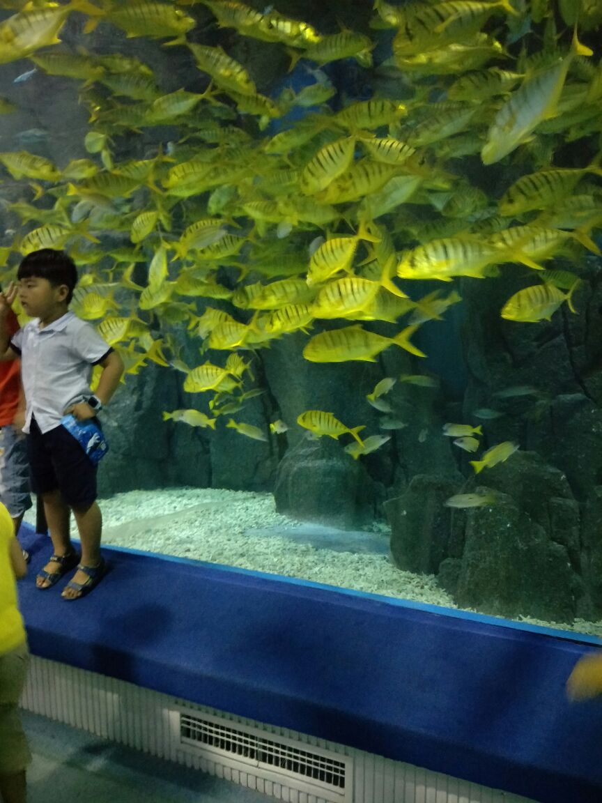 罗源湾海洋世界