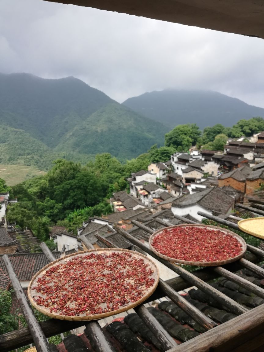 婺源篁岭旅游景点攻略图