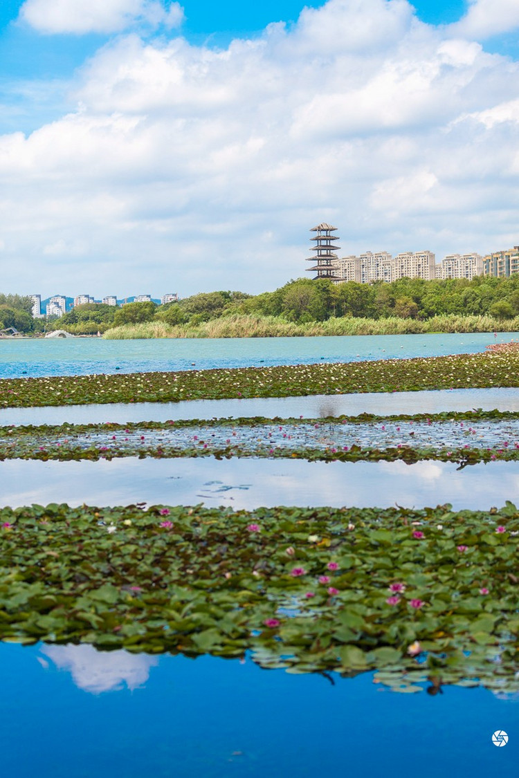 暨阳湖生态园区  暨阳湖生态园区  张家港梦幻海洋王国  张家港