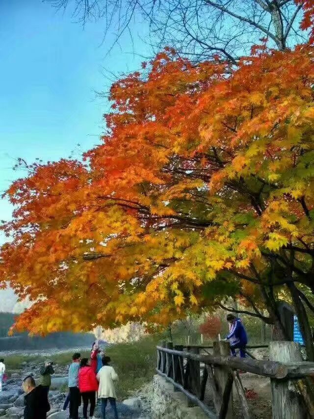 本溪老边沟风景区