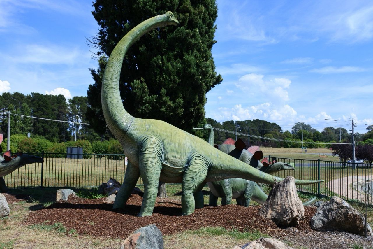 堪培拉国家恐龙博物馆