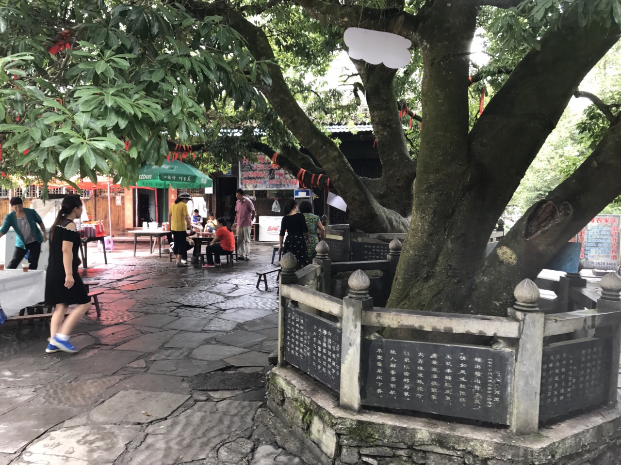 来凤杨梅古寨景区