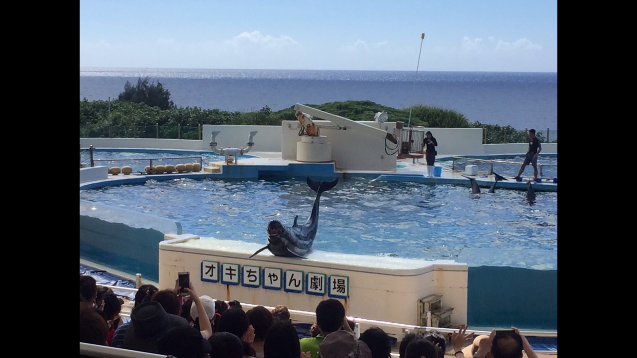 海洋博公园海豚表演剧场
