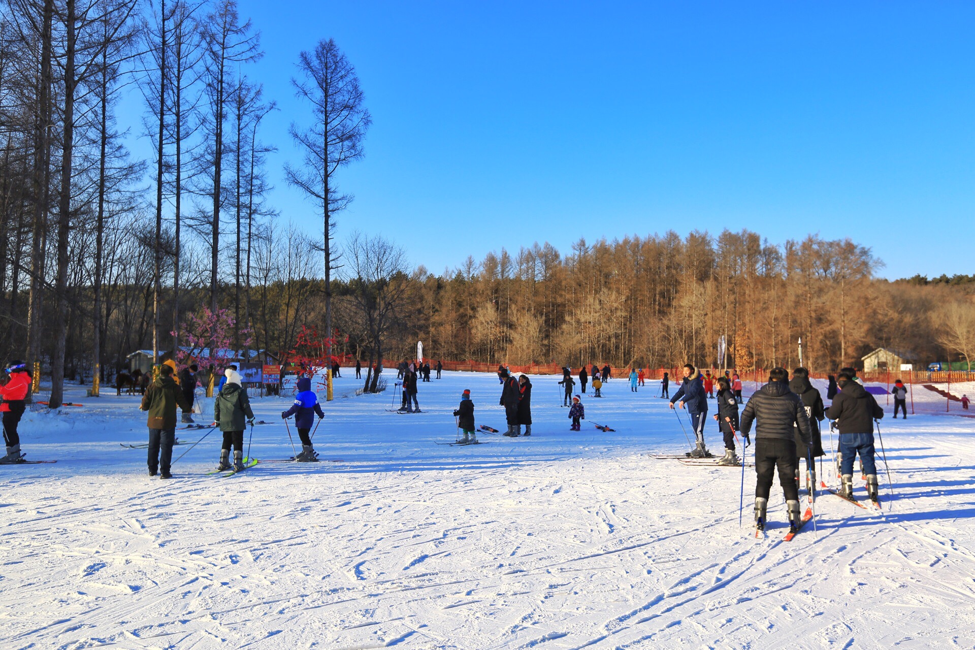 【携程攻略】长春净月潭滑雪场景点,长春净月潭滑雪场