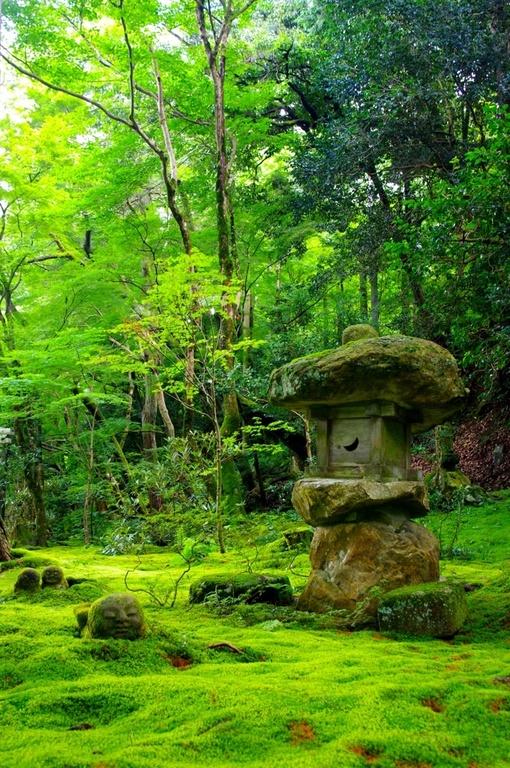 京都三千院好玩吗,京都三千院景点怎么样_点评_评价