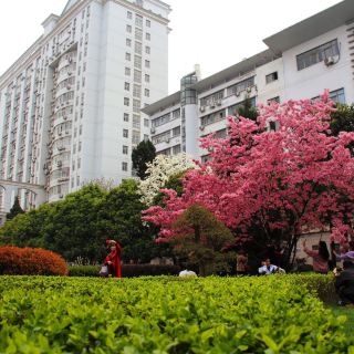 华中科技大学同济医学院-同济广场