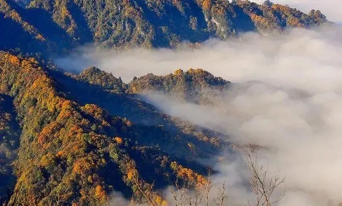 空山国家森林公园拥有自然景观60个,人文景观19个,被誉为"世外桃源