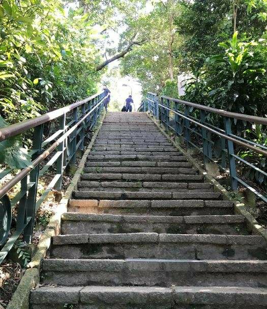 台北象山自然步道攻略,台北象山自然步道门票/游玩