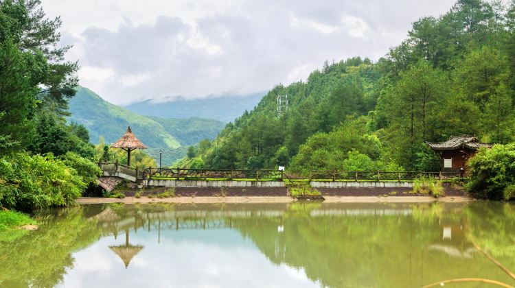 丽水东西岩景区攻略-东西岩景区门票价格多少钱-团购