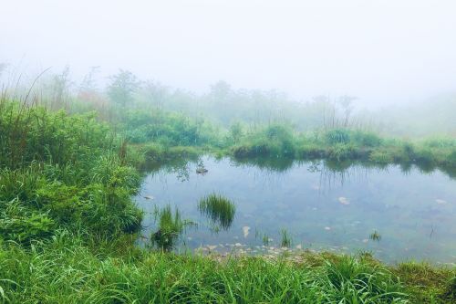 六春湖生态漂流景区   分