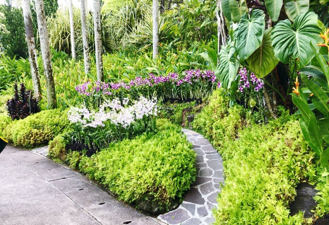 新加坡植物园