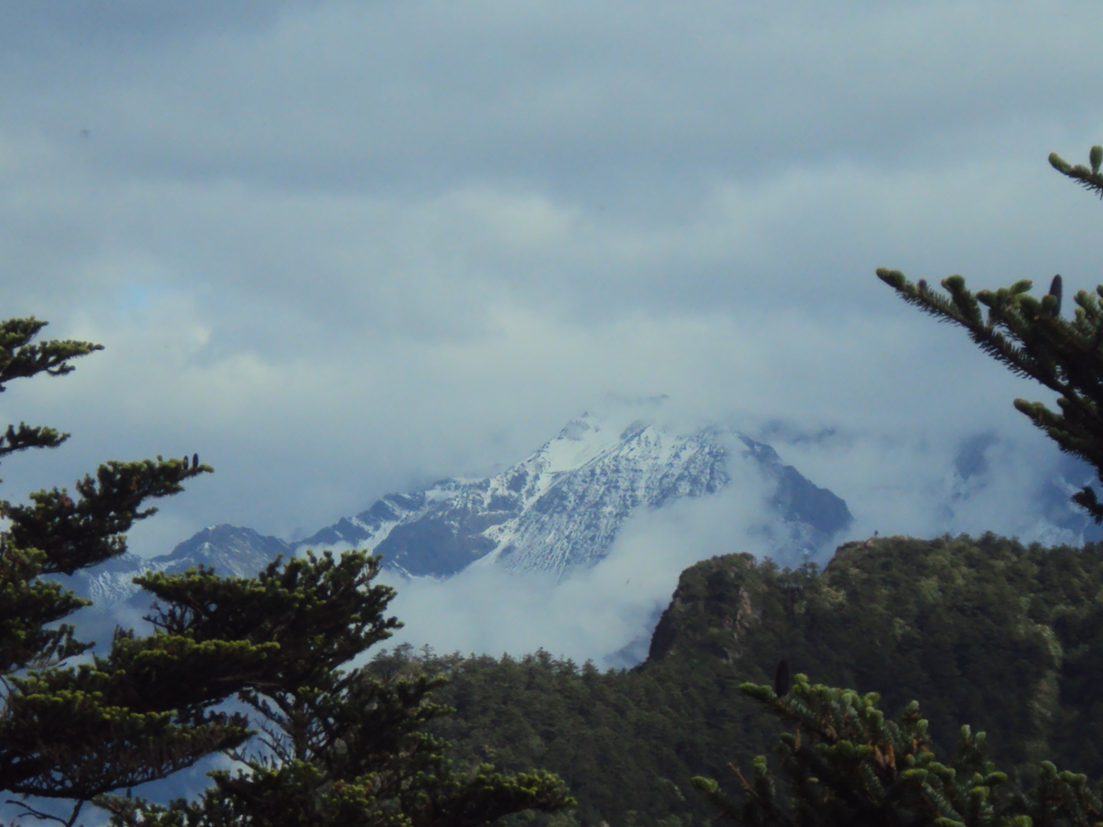 西岭雪山