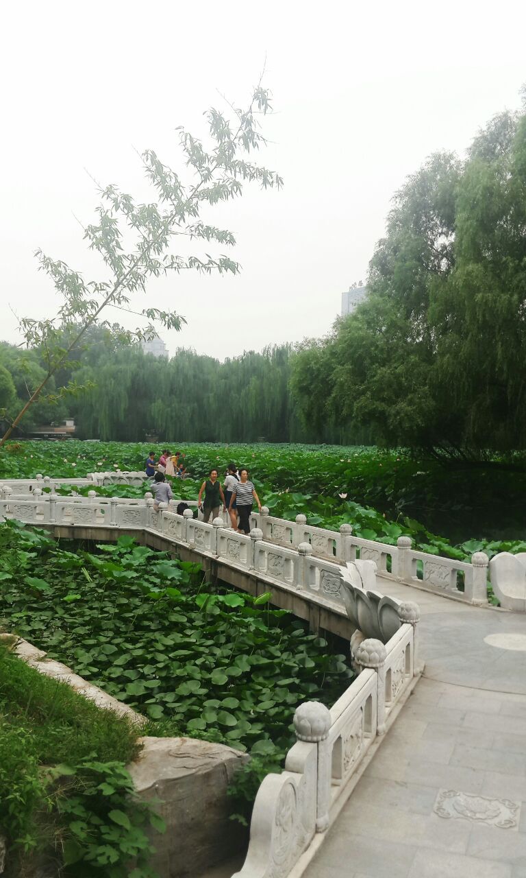 紫竹院公园旅游景点攻略图