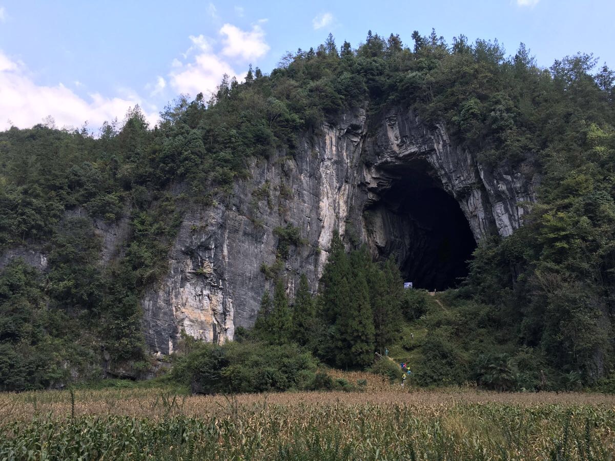 2019腾龙洞风景区_旅游攻略_门票_地址_游记点评,利川市旅游景点推荐