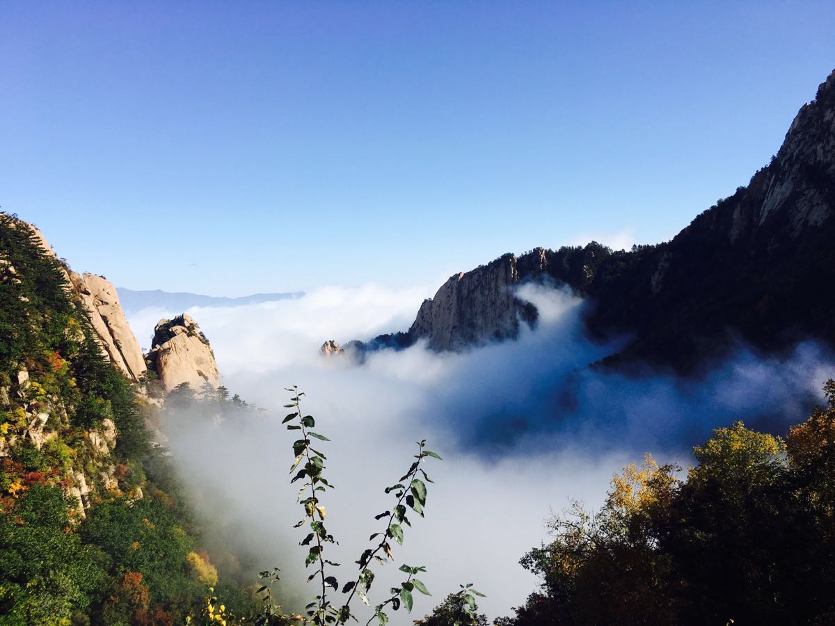 兴隆雾灵山攻略,兴隆雾灵山门票/游玩攻略/地址/图片