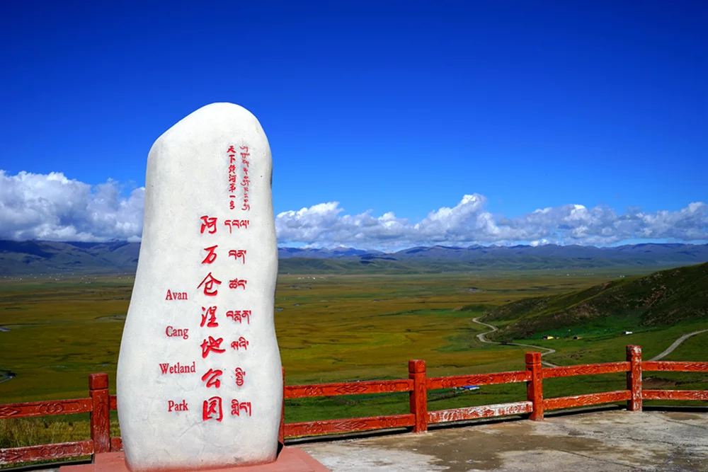 正确来说是玛曲县阿万仓乡,那里的阿万仓湿地非常值得一去,夏天景色