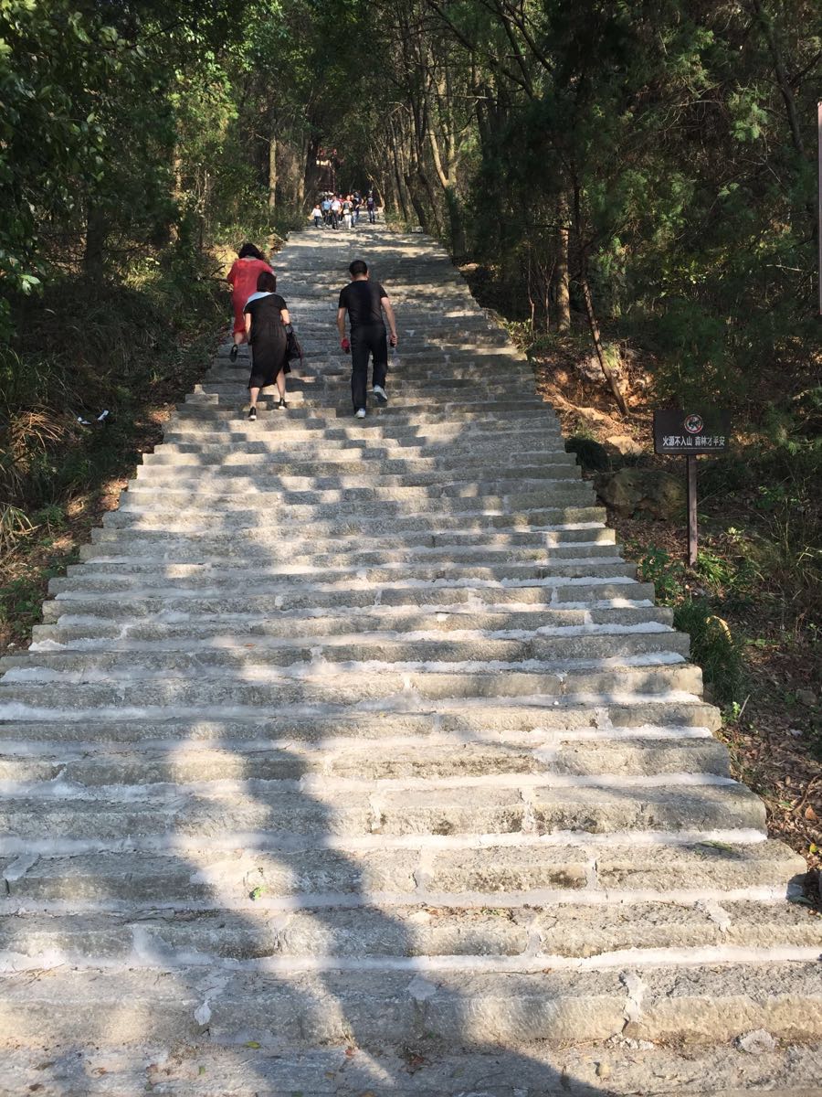 大历山风景区