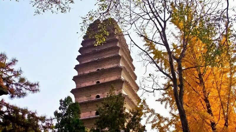 小雁塔(荐福寺)