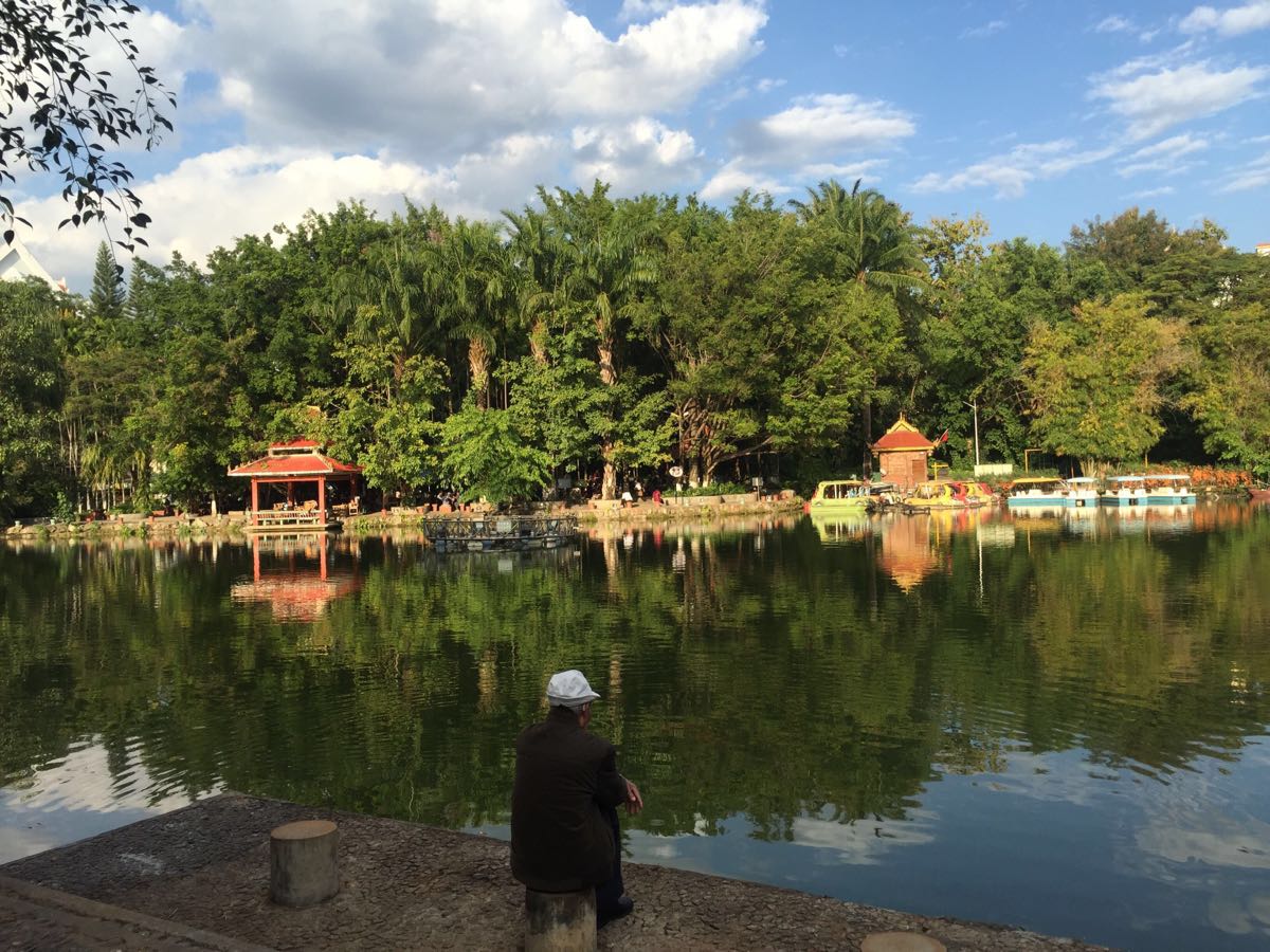 【携程攻略】云南孔雀湖景点,孔雀湖在西双版纳原始森林公园里，门票不贵，65元一人，每天有四场孔…