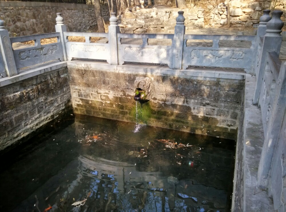 济南涌泉庵攻略,济南涌泉庵门票/游玩攻略/地址/图片/门票价格【携程