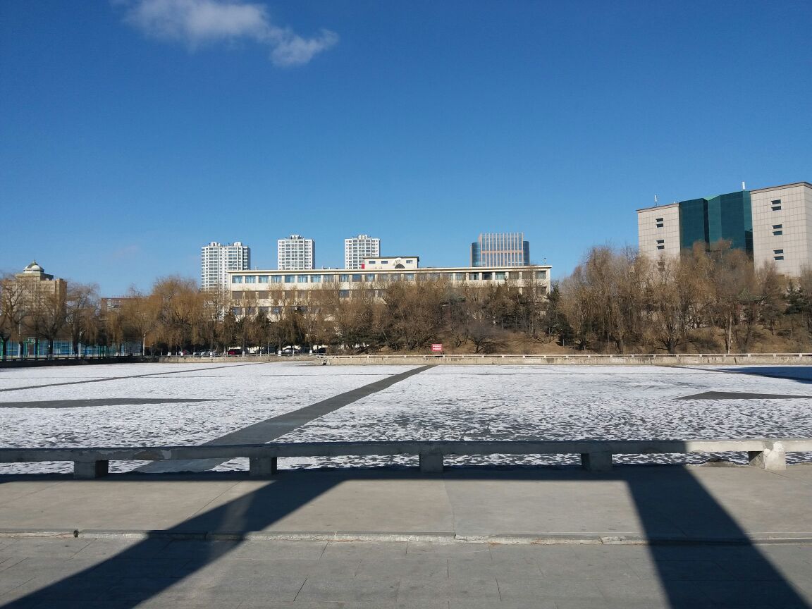 校园风光-内蒙古大学新闻网