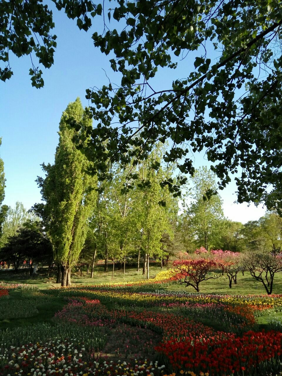 北京植物园