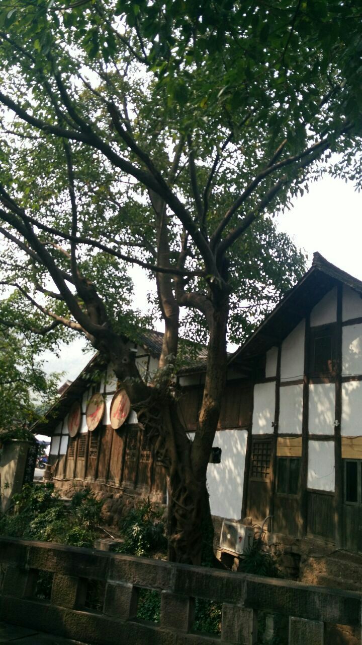土城古镇旅游景点攻略图