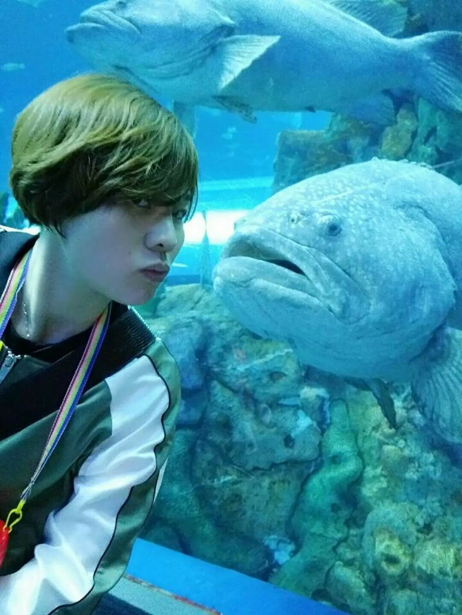 广州长隆4天3晚游记(大马戏,海洋馆,动物园,飞鸟乐园)