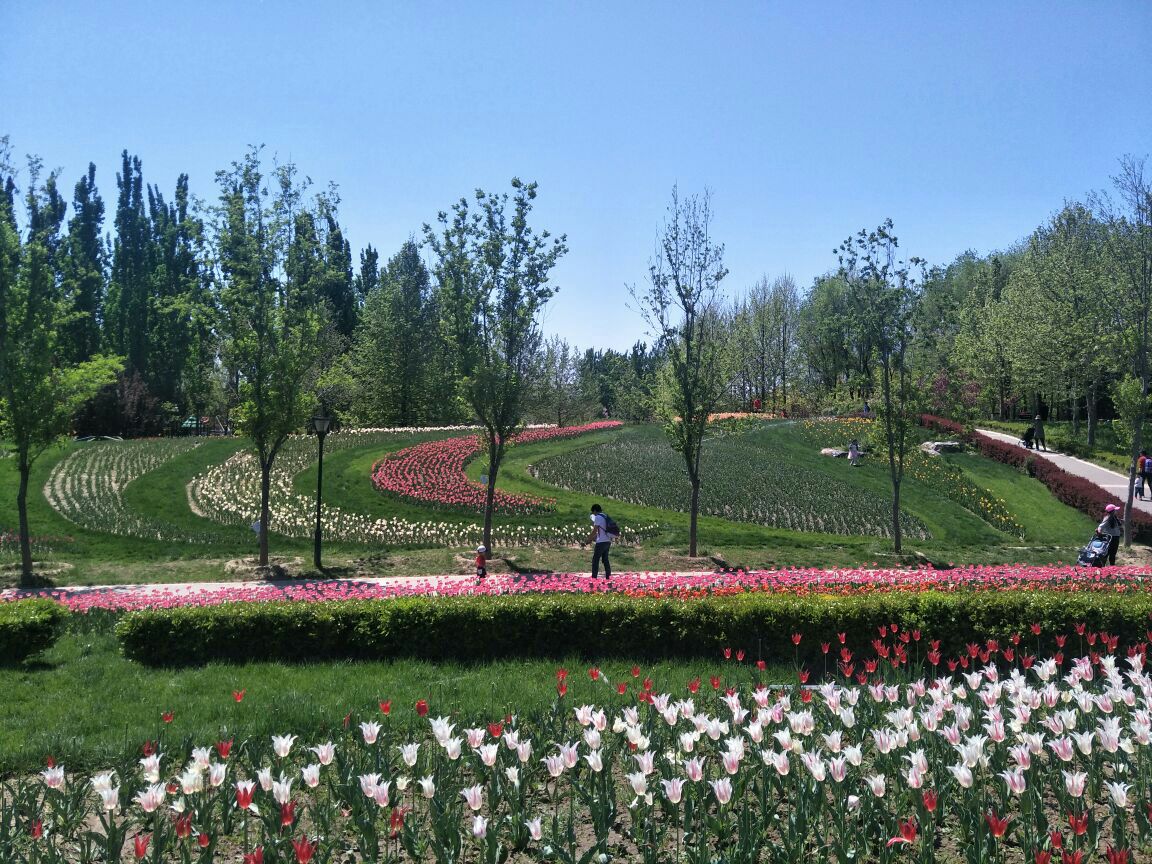 北京国际鲜花港 携程网