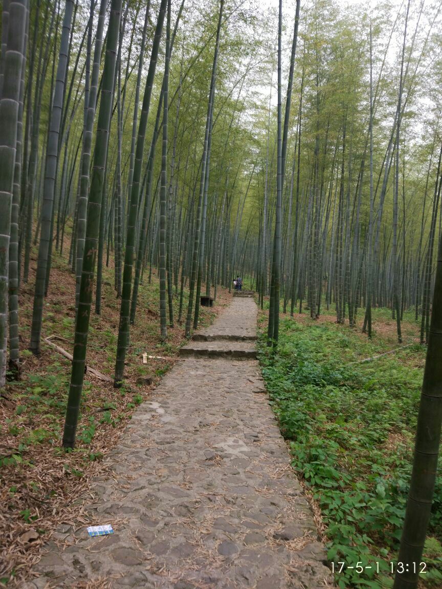 2019宜兴竹海_旅游攻略_门票_地址_游记点评,宜兴旅游