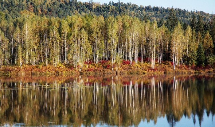 汤旺河林海奇石风景区