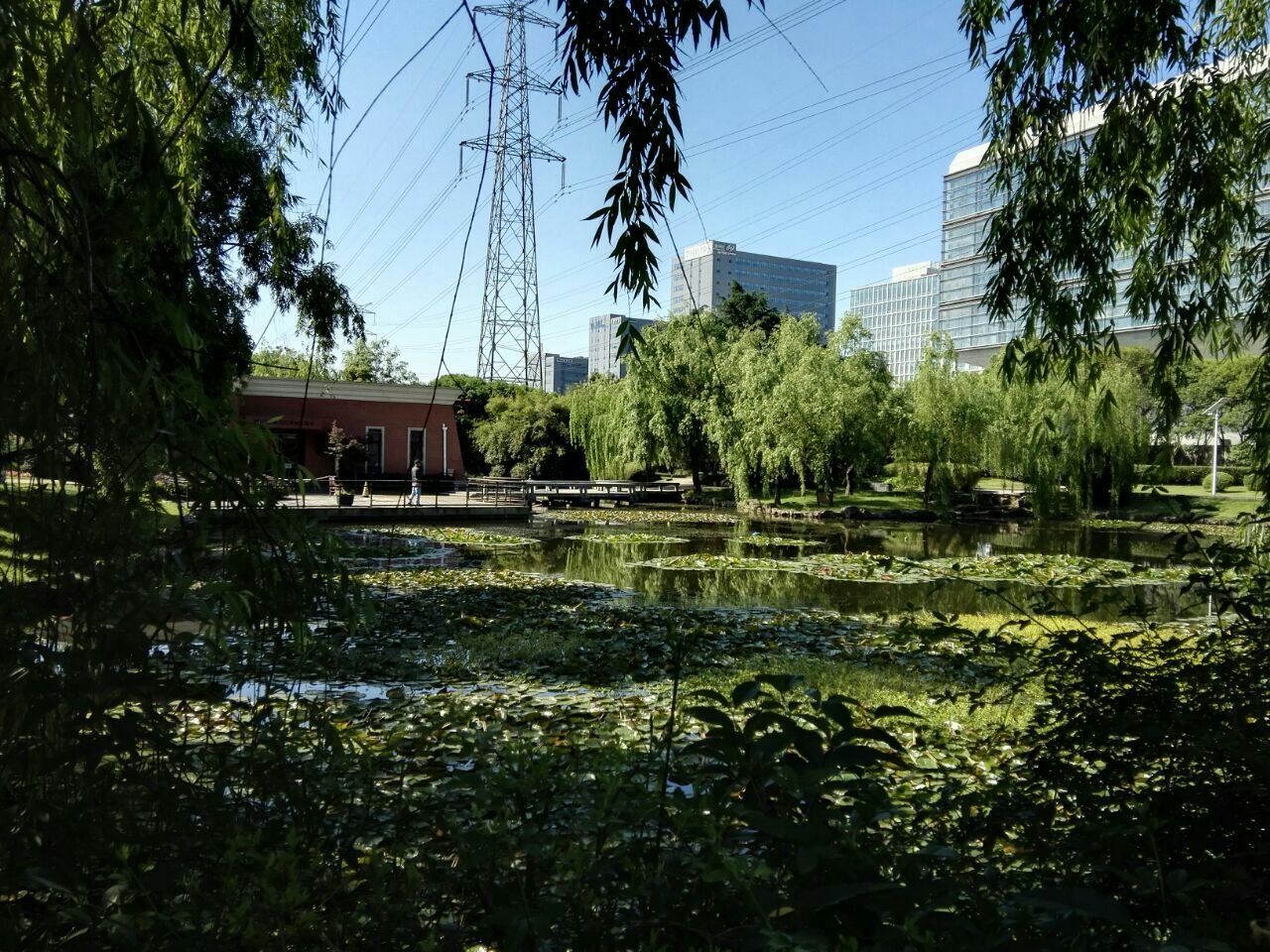 漕河泾开发区公园