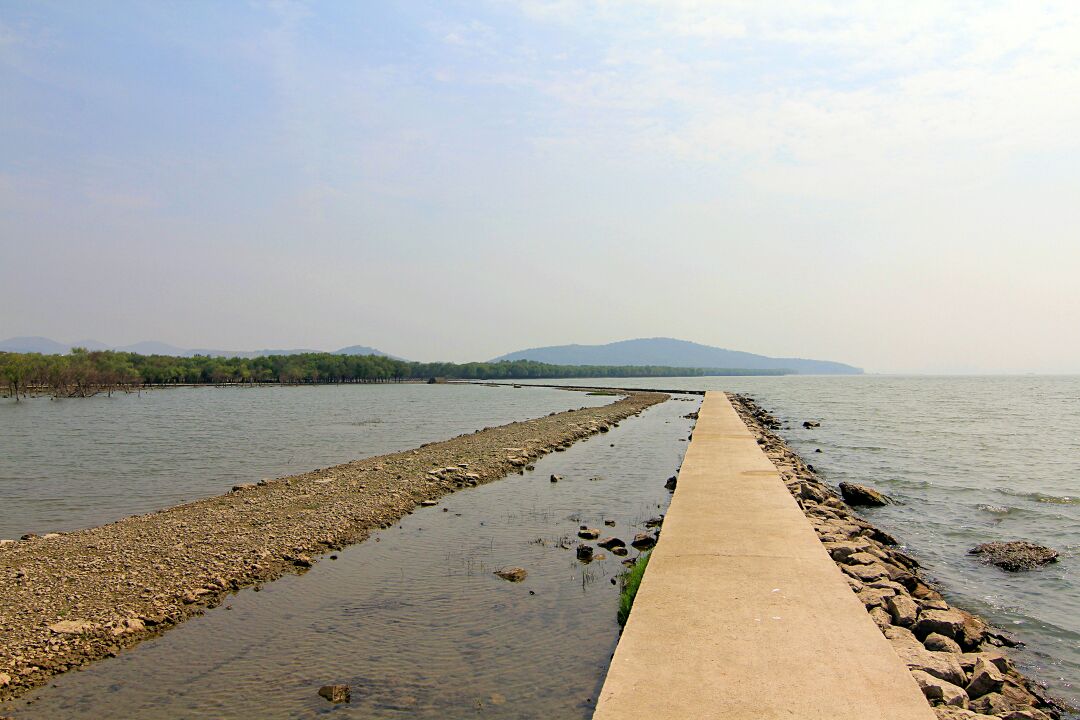 【携程攻略】巢湖巢湖地区湿地景点,巢湖湿地公园其实