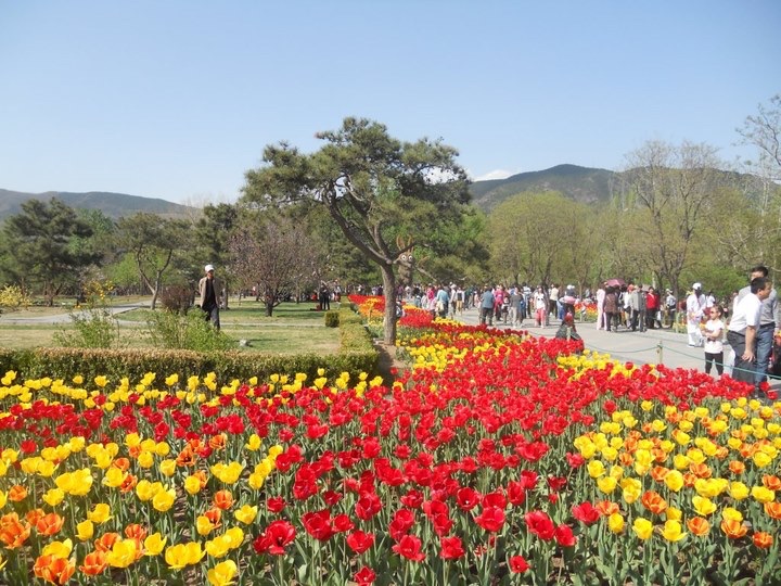 北京植物园