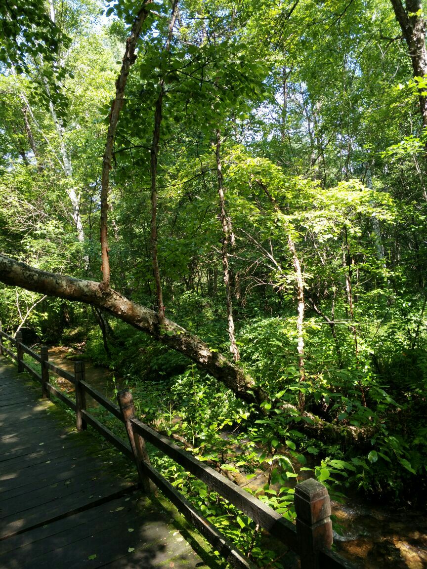 上甘岭溪水国家森林公园