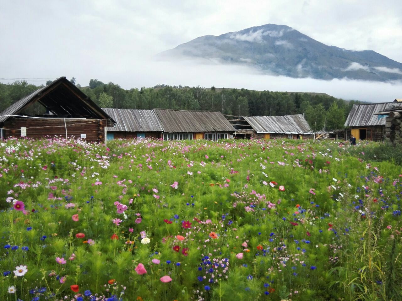 禾木风景区