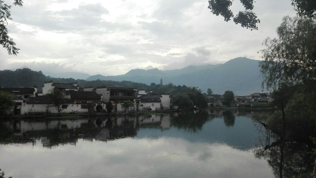 湖面绿荷摇曳,鸭群戏水,另有一番景致。整个湖面倒影浮光,水天一色,远峰近宅,跌落湖中,加之树荫水深和日光的相互作用,明暗协调,动静相宜,显得幽深、雅静、清新、明丽。湖成大弓形,湖堤分上下层,上层宽4米,原来古树参天,苍翠欲滴,躯干青藤盘绕,禽鸟鸣唱,还有垂柳,枝叶婀娜,像临镜梳妆的 少女,把秀发洒向湖面水中。