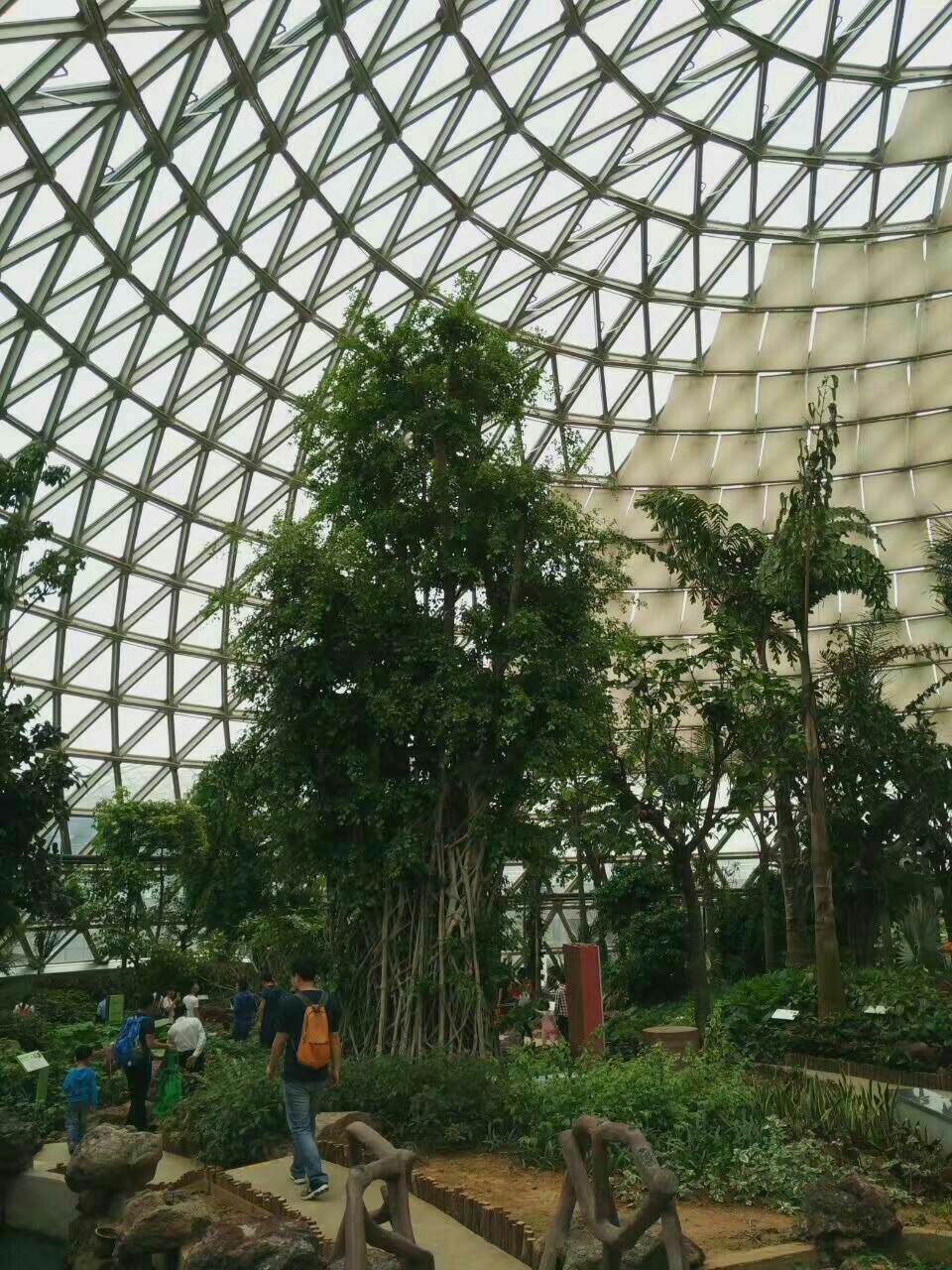 苏州大阳山植物园景区好玩吗,苏州大阳山植物园景区样