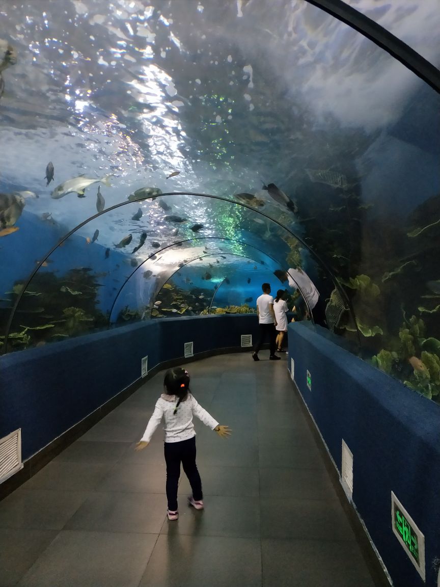 合肥海洋世界