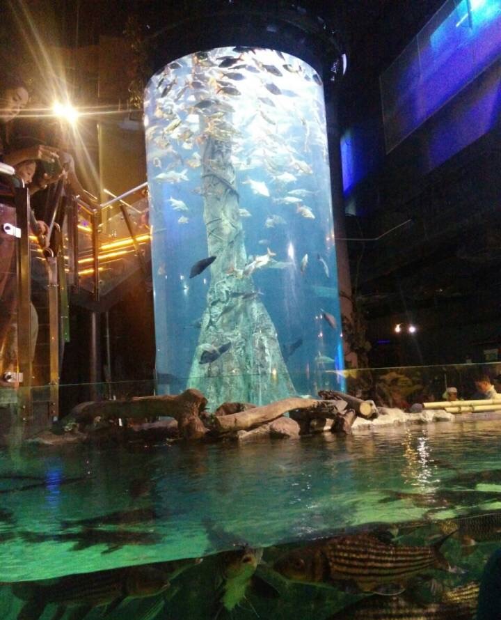 吉隆坡水族馆