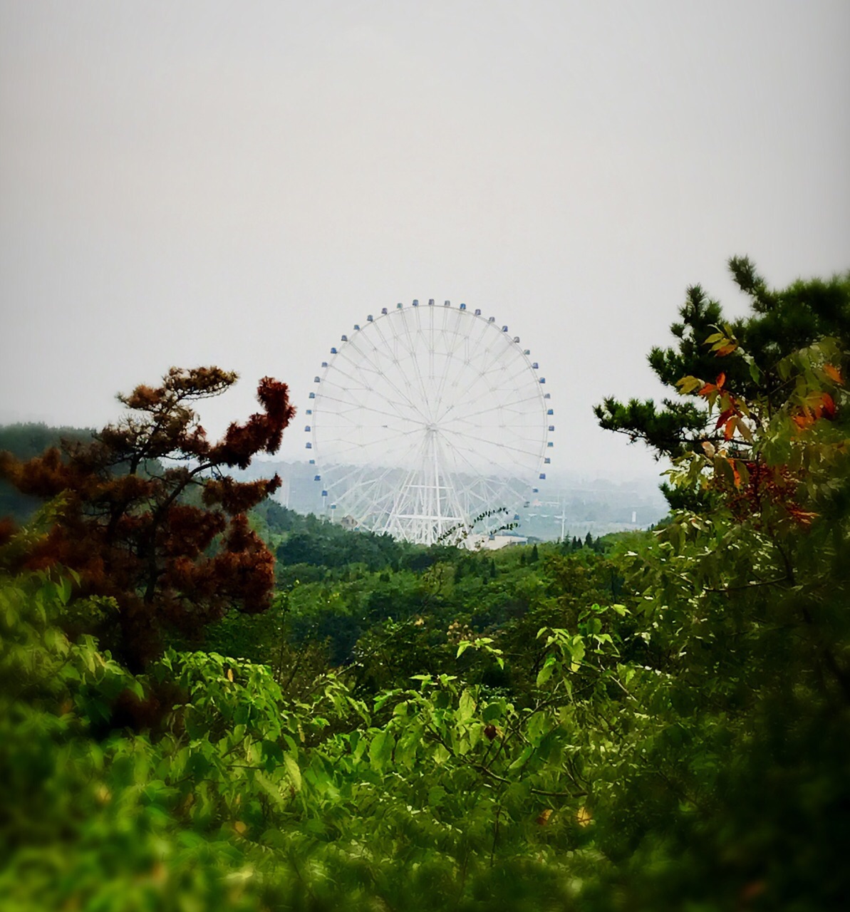 舜耕山旅游景点攻略图