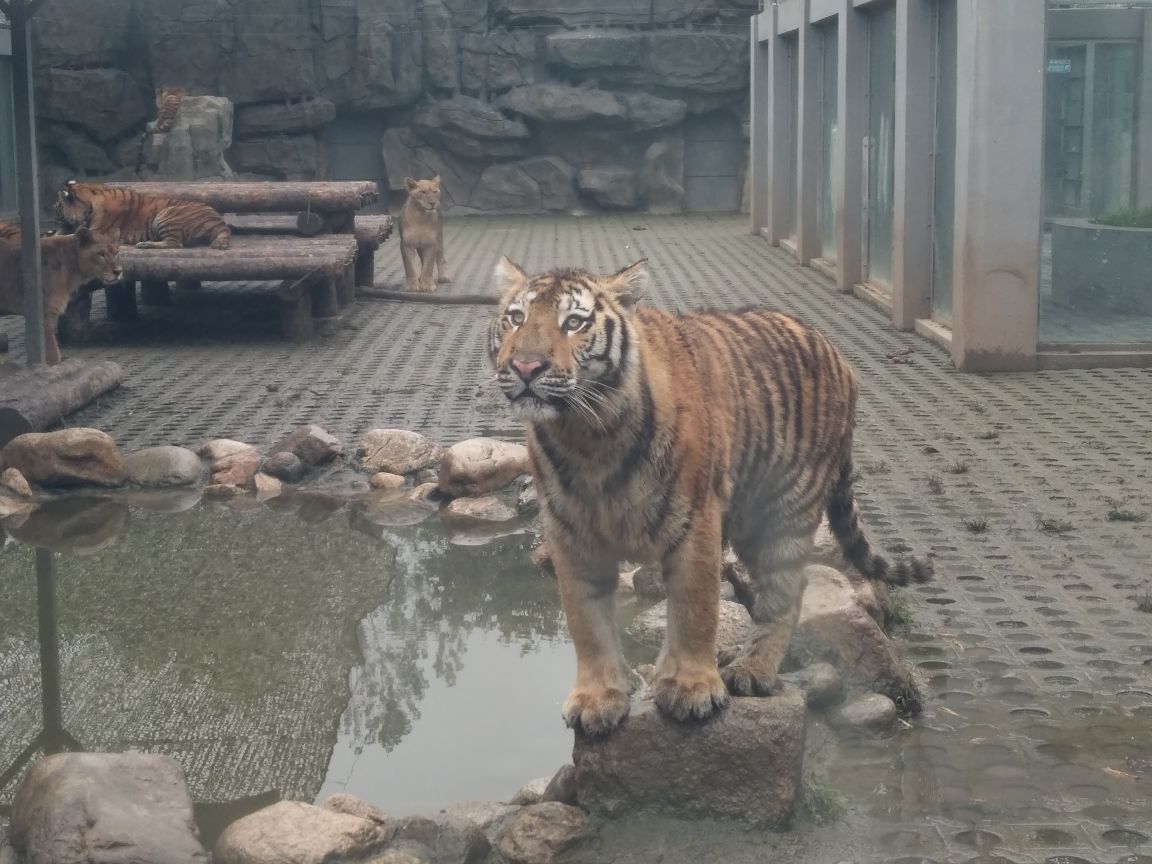 秦岭野生动物园