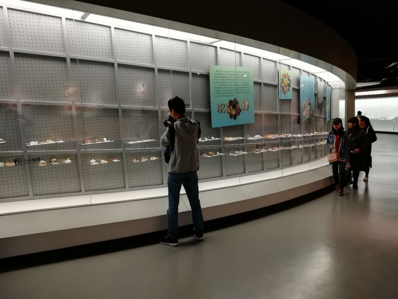 大连贝壳博物馆